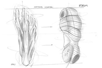 SU19_RN_Free_2019_Sketches_Infographic_Anatomical_Inspiration_original